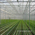 Conception agricole verre structure en acier à effet de serre